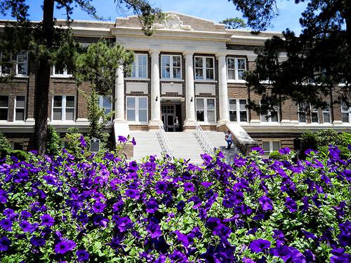 Stephen F Austin State University Top Masters in Educational Leadership Online Degrees